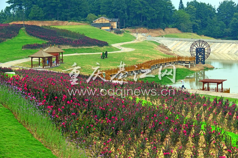 换个水果大屏幕 添加六细节健康更有保障‘火狐电竞’(图3) 火狐电竞