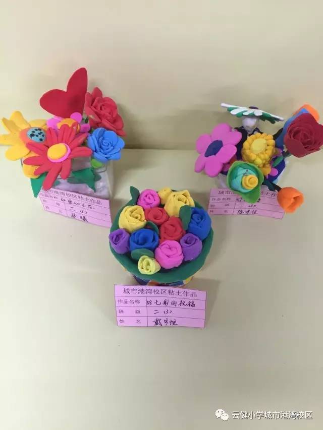 中国已为7种转基因作物发放安全证书|火狐电竞平台(图4) 火狐电竞