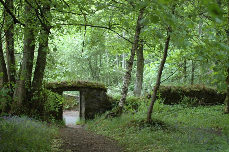 美国加州州长杰里·布朗签署安乐死合法化法案“火狐电竞官网”(图2) 火狐电竞官网