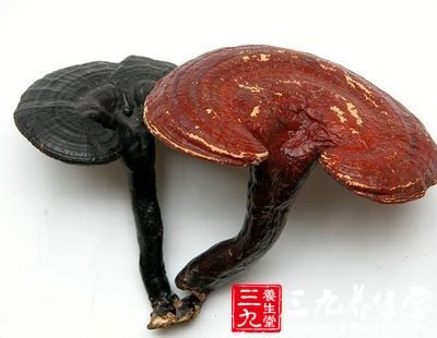 中国首个海外军事基地即将动工 附近有美日基地_火狐电竞(图3) 火狐电竞官网